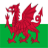 Welsh Flag Sticker Widget logo