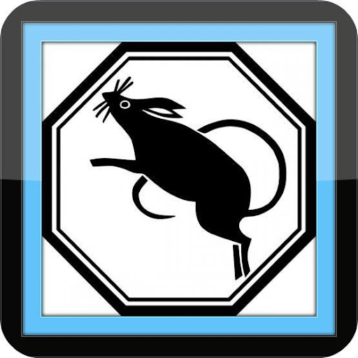 Pest Control - Best Tips