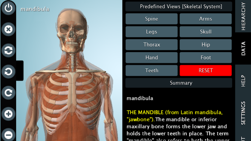 Male Anatomy 3D - Anatronica Screen 3