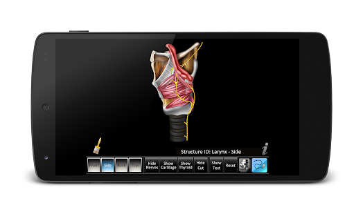 Larynx ID Screenshots 12