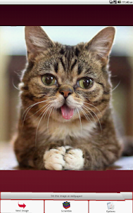 Cats Puzzle Screenshots 1