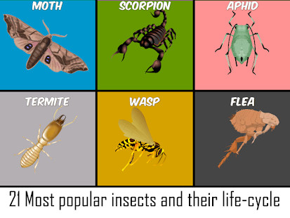 How to mod Insect & Arachnid Life Cycle 1.1 unlimited apk for pc