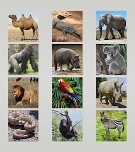 Animal sounds Screenshots 19