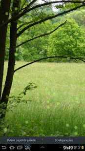 Forest Green Live Wallpaper Screenshots 0