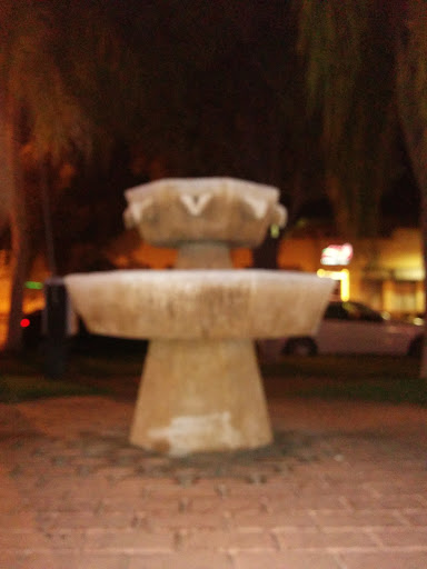 Jasmine Plaza Fountain 