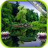 Nature HD Live Wallpapers1.1
