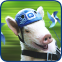 GEICO Piggy's Pin-Wheeels icon