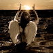 Angel Reaching To Heaven LWP