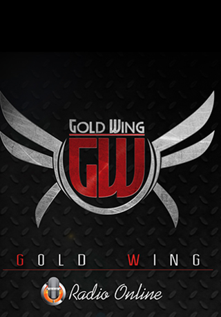 RADIO GOLDWING