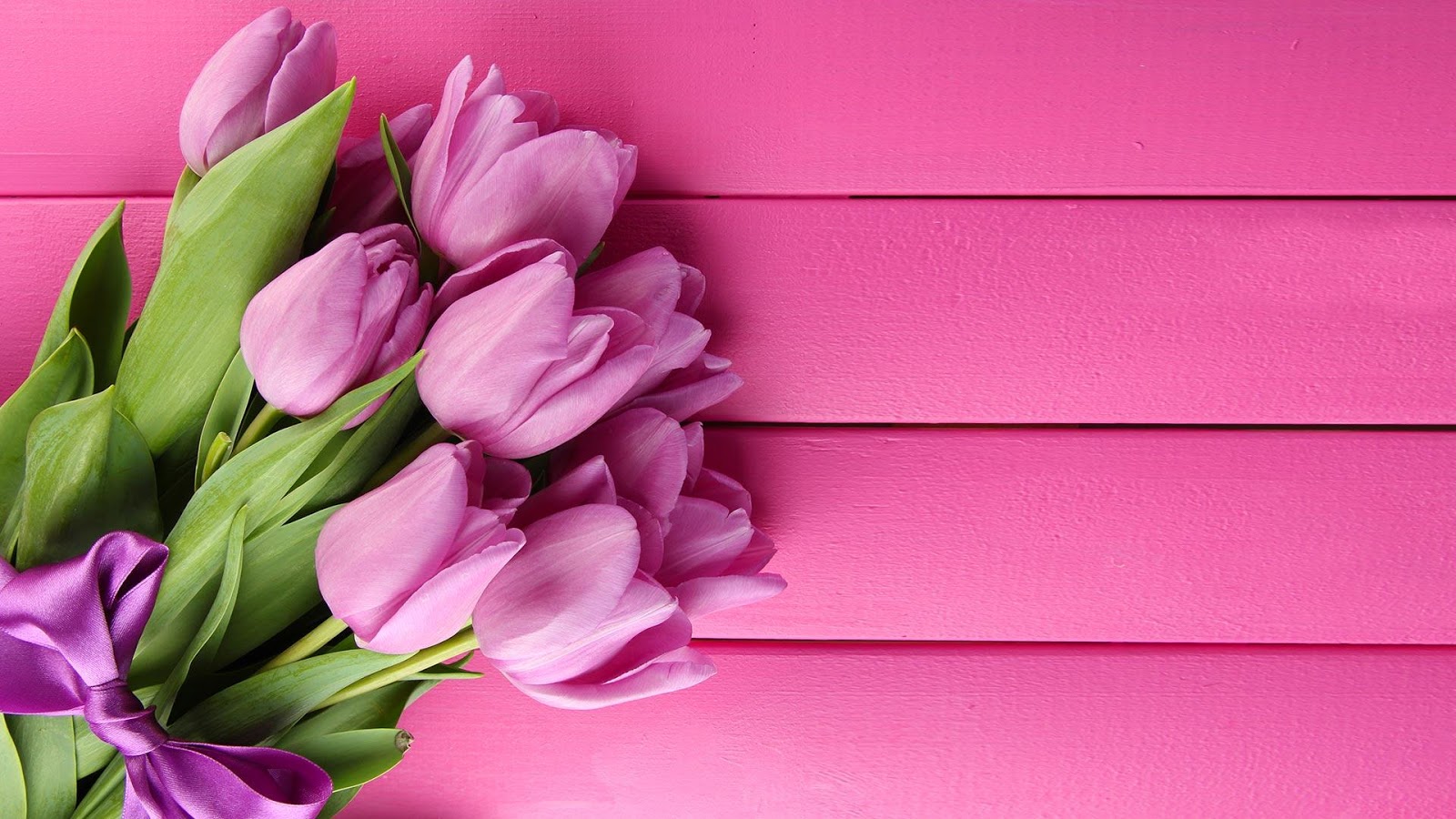 Tulip Pink Wallpaper