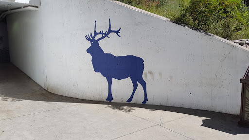 Elk Mural