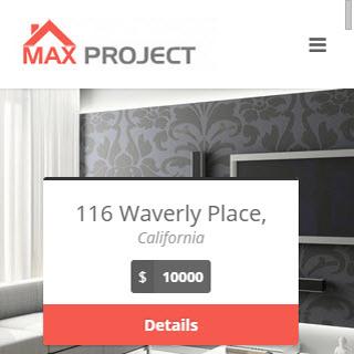 Max Project