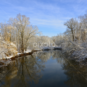 River in Winter by Carl Testo - Landscapes Waterscapes