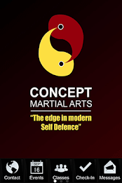 Concept Martial Arts poster 11
