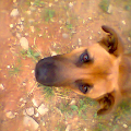 Wuinner