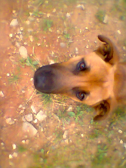 Wuinner