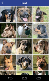 Tierheim Bergedorf poster 3