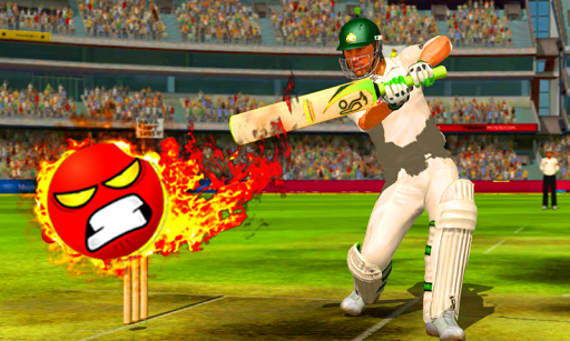 Angry Cricket Game