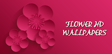Flowers Wallpapers HD by Softel APK