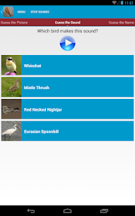 Spanish Birds Sounds Screenshots 12