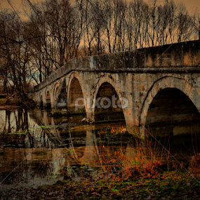 by Pavela Medak - Landscapes Waterscapes