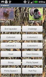 HD Deer Turkey Predator Calls screenshot 2