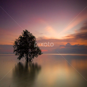 Along the Red Sky by Alfi Nurulhida - Landscapes Sunsets & Sunrises