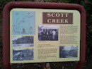 Historic Scott Creek Information Sign