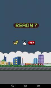 Pipit Bird Screenshots 1