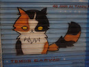 Grafite Gato