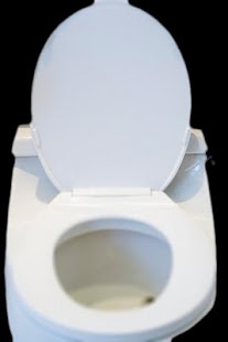 How to install Flush Toilet 1.2 mod apk for bluestacks