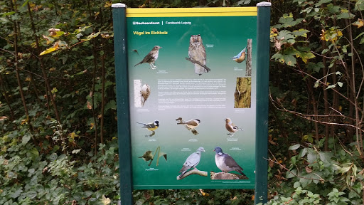 Info Wall About the Local Birds