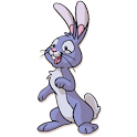 Cute Animals
