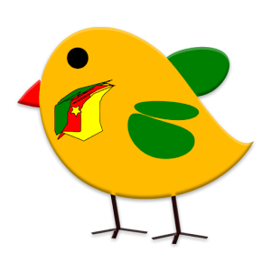 Tori du kwatt - Cameroun News 1.2.5