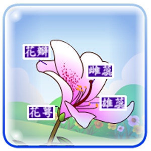 花朵的秘密(繁體中文版) LOGO-APP點子