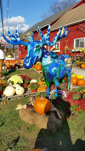 Blue Moose At The Apple Barn