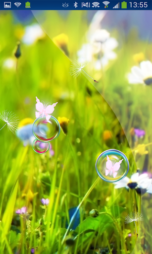 The Butterfly Effect Bubble 3D