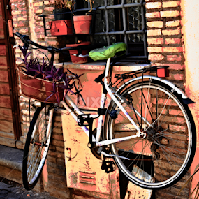 The Planter by Rita Uriel - Artistic Objects Other Objects