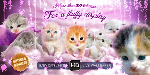 免費下載個人化APP|Kitten Puppies live wallpaper app開箱文|APP開箱王