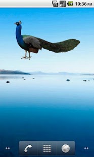 How to install Peacock Sticker 1.0 mod apk for android