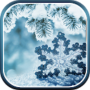 Winter Wallpaper mobile app icon