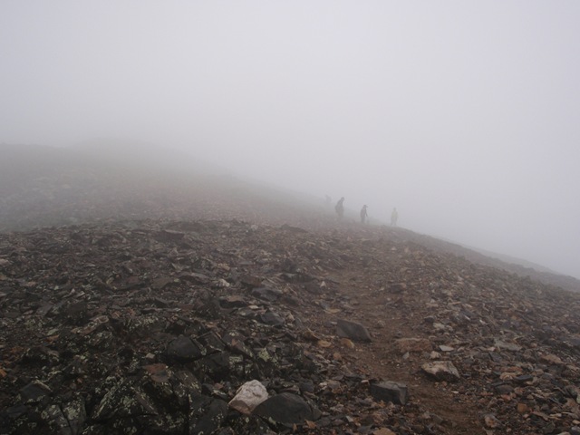 [P80901363.jpg]