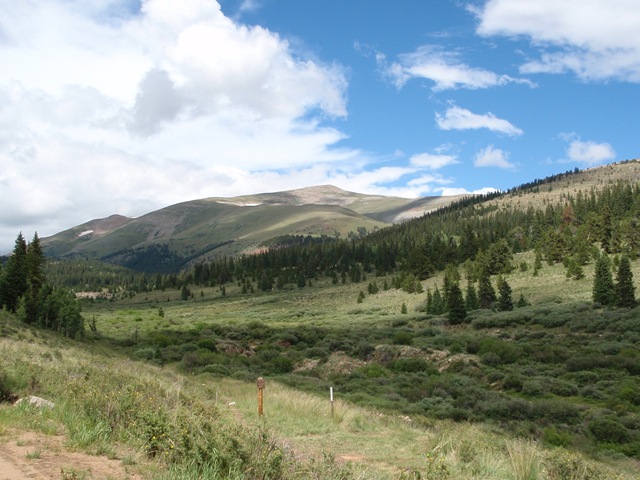 [P8080117[2].jpg]