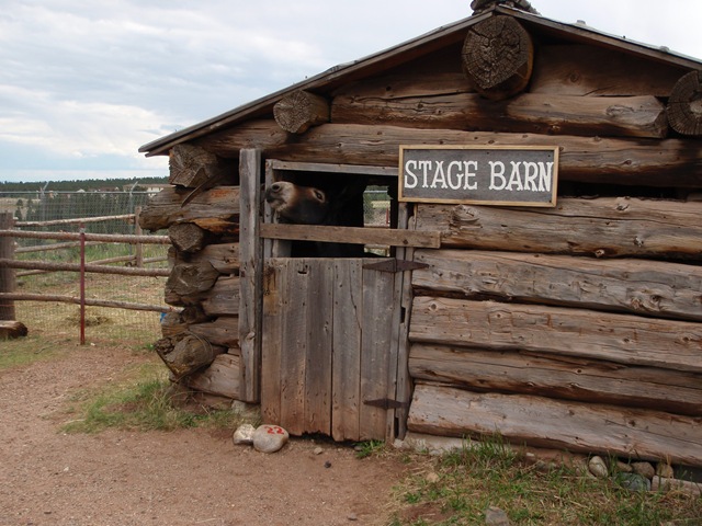 [P8090148[2].jpg]