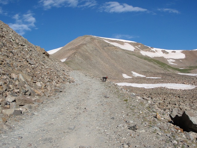 [P8030124[2].jpg]