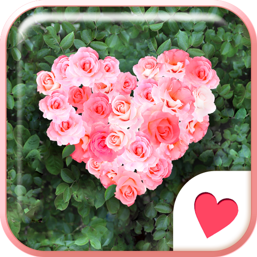 Cute wallpaper★Rose Garden 個人化 App LOGO-APP開箱王