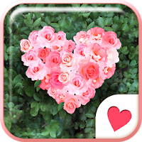 おしゃれなきせかえ壁紙 大人かわいいハート薔薇の庭園 Androidアプリ Applion