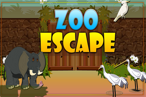 Zoo Escape