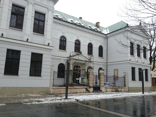 Muzeum Andreja Kmeta