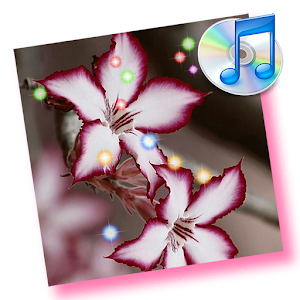 MusicPlayer Star LiveWallpaper 2.2